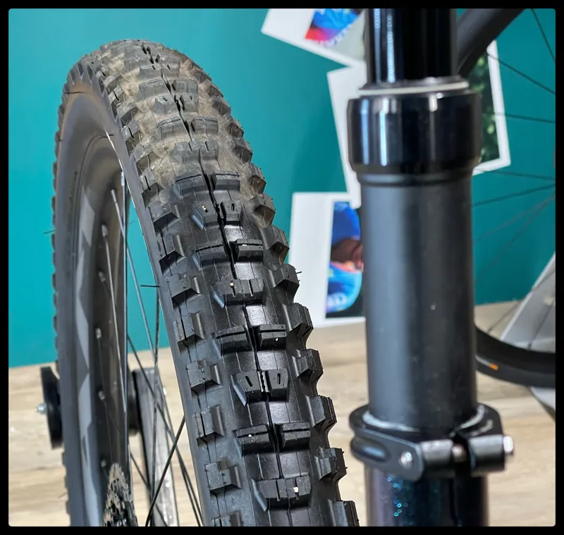 Reign 29 SX Medium Starry Night 2022-4